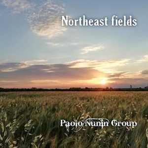 CD Northeast Fields Paolo Nunin (Band)