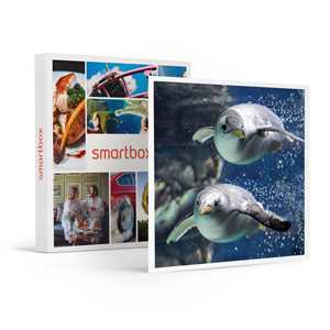 Idee regalo SMARTBOX - Visita all'Acquario e alla Lanterna di Genova - Cofanetto regalo Smartbox