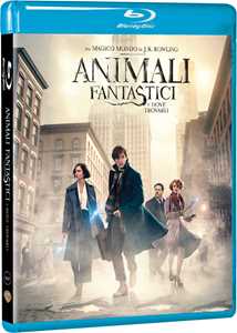 Film Animali fantastici e dove trovarli (Blu-ray) David Yates