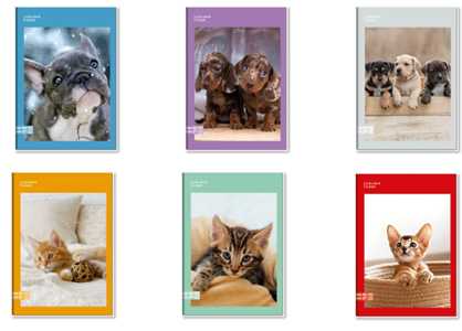 Cartoleria Quaderno A4 Maxi 96/100 Colour Code Animal Snapshot, 1 Rigo - 21 x 30 cm Colour Code