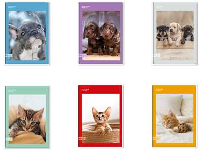 Cartoleria Quaderno A5 standard 96/100 Colour Code Animal Snapshot, 1 Rigo - 15 x 21 cm Colour Code