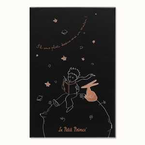 Cartoleria Taccuino Moleskine 2023, Le Petit Prince in edizione limitata Large, copertina rigida, a righe, con Gift box Moleskine