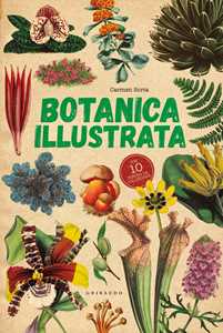 Libro Botanica illustrata. Con 10 poster Carmen Soria