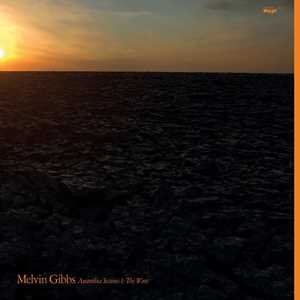 Vinile Anamibia Sessions 1. The Wave Melvin Gibbs
