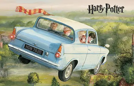 Harry Potter Libri Anniversario 