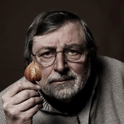 Vinili di Francesco Guccini