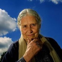 Libri usati di Doris Lessing