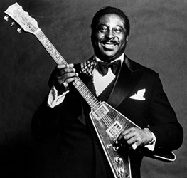 Vinili di Albert King