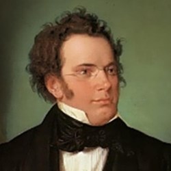 Libri usati di Franz Schubert