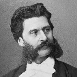 Vinili di Johann Strauss