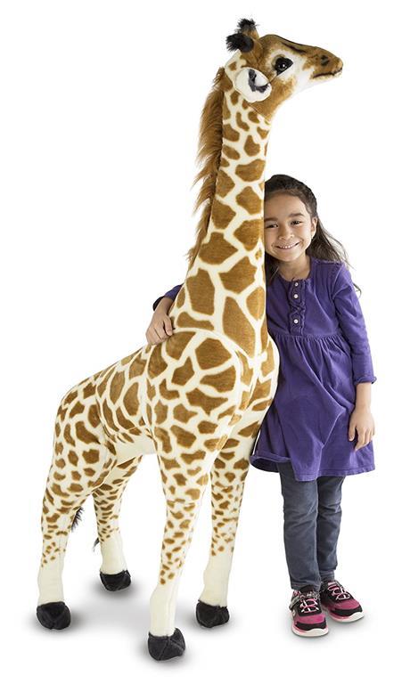 Giraffe - 12