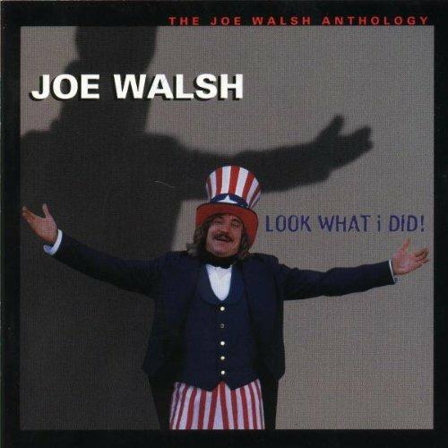 Look What I Did - CD Audio di Joe Walsh