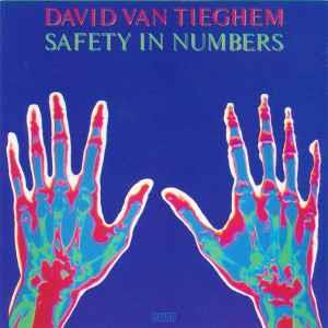 Safety In Numbers - CD Audio di David Van Tieghem