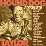 Tribute to Hound Dog Taylor