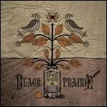 Feast of the Hunters Moon - CD Audio di Black Prairie