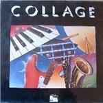 Collage - Vinile LP di Dan Siegel