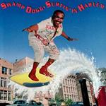 Surfin' in Harlem