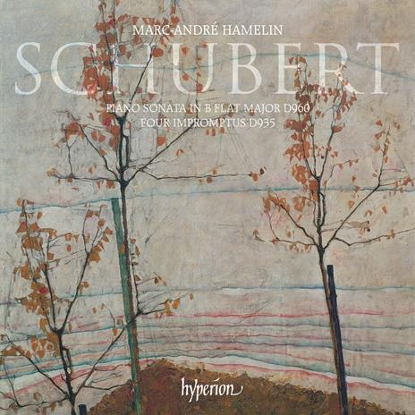 Sonate per pianoforte - CD Audio di Franz Schubert,Marc-André Hamelin