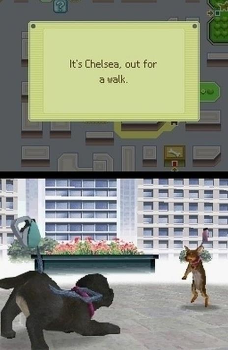 Nintendogs Labrador - 5