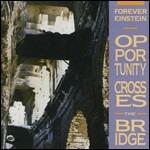 Opportunity Crosses the Bridge - CD Audio di Forever Einstein