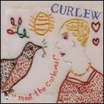 Meet the Curlews