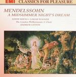 Midsummer Nights Dream