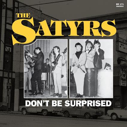 Don't Be Surprised - CD Audio di Satyrs