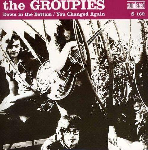 Down In The Bottom/You Changed Again - Vinile LP di Groupies