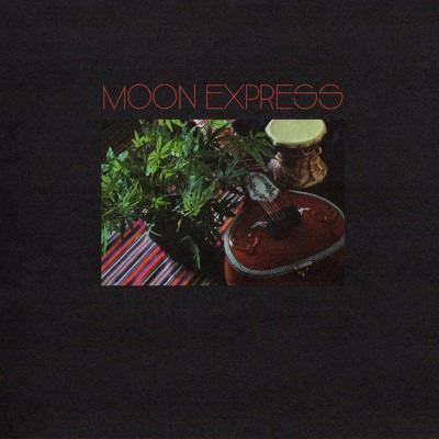 Prophetic Spirit - CD Audio di Moon Express