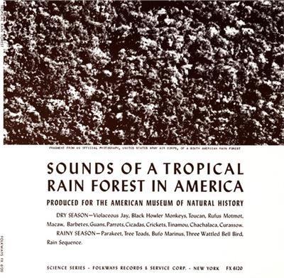 Tropical Rain Forest - CD Audio