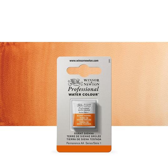 Acquarello Winsor & Newton Pwc 1/2 Godet – Terra Di Siena Bruciata