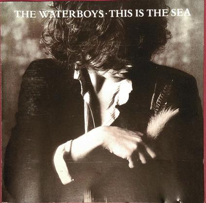 This Is the Sea - CD Audio di Waterboys