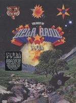 Best Of ( 2Dvd/Pal0 )