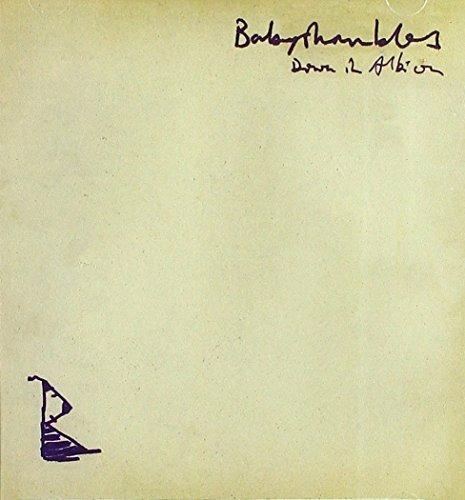 Down in Albion - CD Audio di Babyshambles