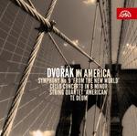 Dvorak in America