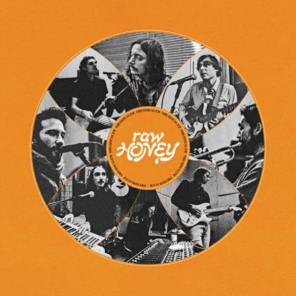 Raw Honey - Vinile LP di Drugdealer