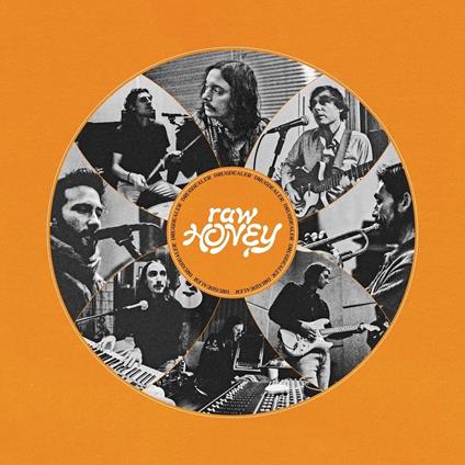 Raw Honey - CD Audio di Drugdealer