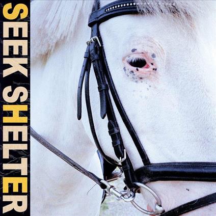 Seek Shelter - CD Audio di Iceage