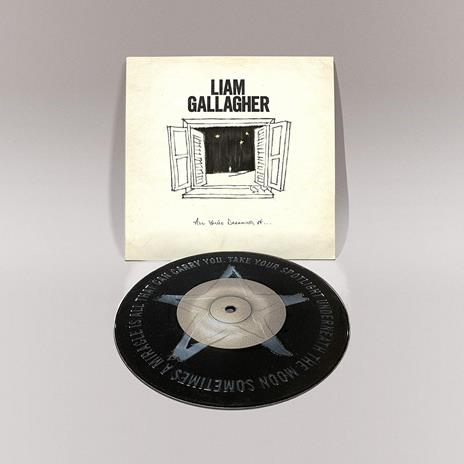 All You're Dreaming of (Single 7" Vinyl) - Vinile 7'' di Liam Gallagher - 2