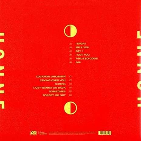 Love Me Love Me Not - Vinile LP di Honne - 2