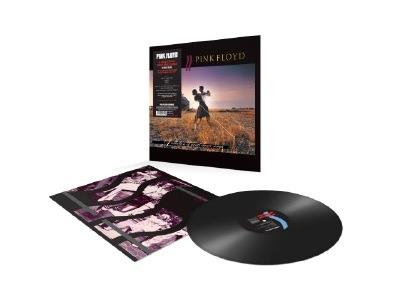 A Collection of Great Dance Songs - Vinile LP di Pink Floyd - 2