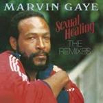 Sexual Healing. The Remixes (Limited Edition)