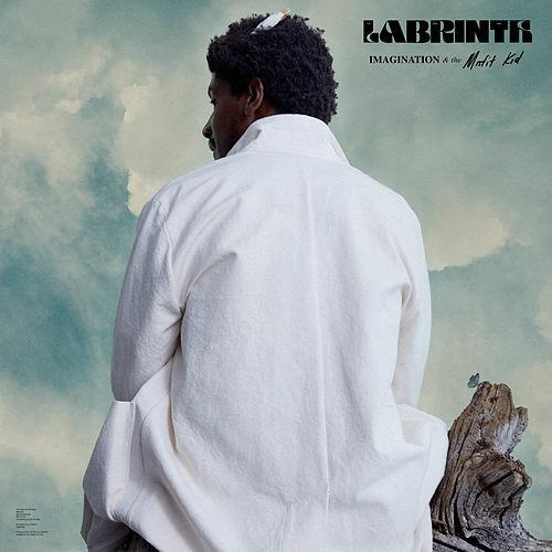 Misfit Kid - Vinile LP di Labrinth