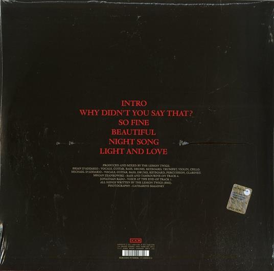 Brothers of Destruction Ep - Vinile LP di Lemon Twigs - 2