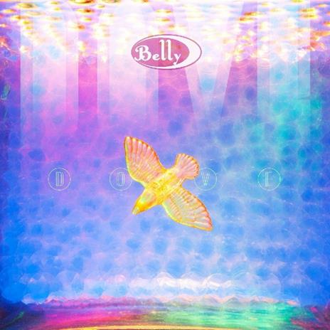 Dove - CD Audio di Belly