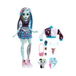 Monster high  frankie, bambola snodata alla moda, dai capelli con ciocche blu e nere, con accessori e cucciolo