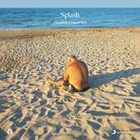 Splash (Sanremo 2023) - Cose da pazzi (45 giri) - Colapesce , Dimartino -  Vinile