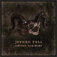 CD Curious Ruminant Jethro Tull