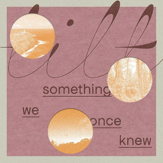 Something We Once Knew - Vinile LP di Tilt