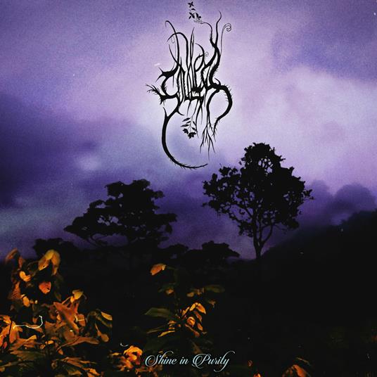 Shine In Purity - CD Audio di Soulless